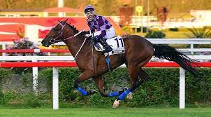 Bu koşuda tay koşabilmek bile büyük şereftir. Gazi Kosusu Nu Kim Kazandi Iste 2017 Gazi Kosusu Sampiyonu Son Dakika Haberleri