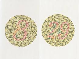 ishihara color vision test ophthalmologyweb the ultimate