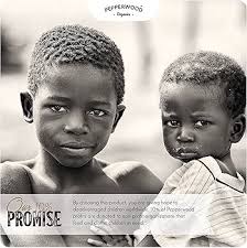 Amazon.com: Organic Ethiopian Sesame Tahini