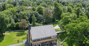 Mobile connectivity in crystal palace park: Dyson Dishes Up Dinosaur Inspired Cafe News Building Design