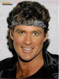 Discover 350 David Hasselhoff and Baywatch Ideas