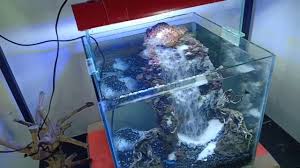 Membuat Air Terjun Pasir Dan Undergravel Filter Bagian 2 Youtube Aquarium Akuarium Hiasan