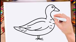 How To Draw Duck Learn Drawing A Duck Very Easy And Step By Step For Kids Youtube We show you how to draw simply with basic geometric shapes. how to draw duck learn drawing a duck very easy and step by step for kids