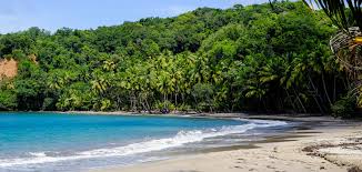 Calypso lovers across dominica can look forward to a downscaled 2021 calypso competition notwithstanding the cancellation of carnival activities due. Best Places To Stay In Dominica Caribbean The Hotel Guru
