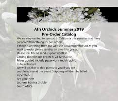 Image result for Polystachya songaniensis