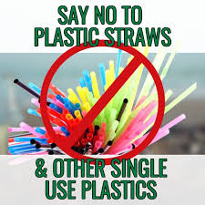 For more information on how to avoid a plastic christmas visit. Saying No To Plastic Straws Virily