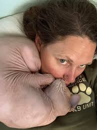 Can a cat with corona and herpes have FIP?