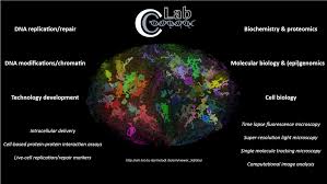 Cell biology can explain the structure of different types of cells, types of cell components, the metabolic processes of a cell, cell life cycle and signaling pathways to name a few. Cardoso Lab Biology Technical University Of Darmstadt