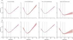 Layanan gratis google secara instan menerjemahkan kata, frasa, dan halaman web antara bahasa inggris dan lebih dari 100 bahasa lainnya. Association Of Bmi With Overall And Cause Specific Mortality A Population Based Cohort Study Of 3 6 Million Adults In The Uk The Lancet Diabetes Endocrinology
