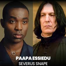 Actor Paapa Essiedu has been cast to play Severus Snape (a role previously  played by Alan Rickman) in the upcoming Harry Potter TV show. What do you  think of this casting?