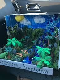 Biome In A Box Tropical Rainforest Biome Tropical Rainforest Project Rainforest Crafts Habitats Projects Rainforest Project