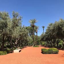 Marrakech Et Ses Beaux Jardins Nature Cielbleu Soleil Parc Instagram Golf Courses Plants