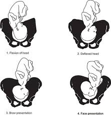 Image result for Face Presentation