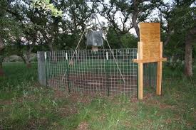 An Article Discussing An Affordable Homemade Game Feeder Corral Trap To Save Time Money Feed And Energy This Article Explains Wild Pig Hog Trap Pig Hunting