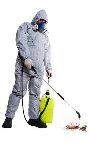 Find the best professional pest control companies to help you get your home or office cleaned from ants, bed bugs, cockroaches, and rats in abu dhabi using spray and gel. National Emirates Pest Control Company Cleaning Company In Abu Dhabi