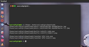 Ein volles verzeichnis wird unter linux mit dem folgenden befehl gelöscht: So Finden Und Loschen Sie Doppelte Dateien In Linux Ubuntu Websetnet