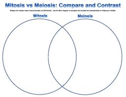 Mitosis And Meiosis Characteristics Compare And Contrast