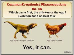 Which Came First The Chicken Or The Egg First They Came Atheism Misconceptions