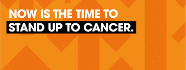 Stand up to cancer says that its mission is to fund translational research that can get new therapies from the bench to the bedside quickly and save lives. Stand Up To Cancer Uk Home Facebook