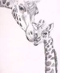 Signup for free weekly drawing tutorials. Sketching Giraffe Face Drawing