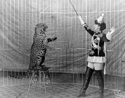 Job air joon jordan air jubba airways juneyao airlines kd avia klm city hopp kabo air kam air karthago airlines kartika airlines katmai air kenn borek air keystone air service kharkiv airlines kish airlines kogalymavia airlines kunming airlines kuwait airways kyrghyzstan airlines kyrgyz airways. Animal Training Wikipedia