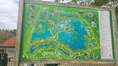 Le paradis des fans d'animaux et de nature. 90 Idees De Center Parcs En 2021 Center Parc Parcs Parc D Attraction