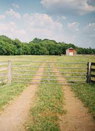 Wildflower Country Farm Country Roads Take Me Home Country Life