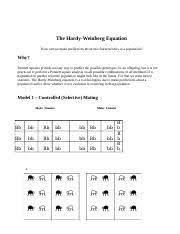 Hardy, weinberg, equation, answer, key, pogil created date: Pogil The Hardy Weinberg Equation S 1 Docx The Hardy Weinberg Equation How Can We Make Predictions About The Characteristics Of A Population Why Course Hero