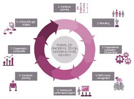 Hr Flowcharts Hr Management Process Flowchart Talent