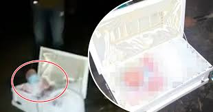 نتيجة بحث الصور عن ‪åhus avföring‬‏