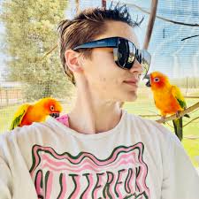 what to do with kittens found under a car without their mother?