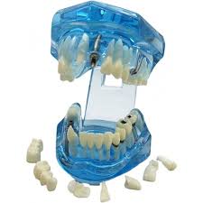 Image result for ochrana chrupu