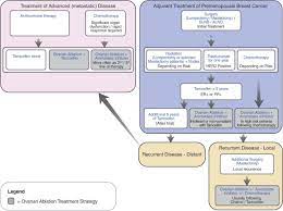Premature menopause and early menopause are conditions where a woman goes through menopause at an earlier age than is typically expected. Ovarian Ablation For Premenopausal Breast Cancer A Review Of Treatment Considerations And The Impact Of Premature Menopause Sciencedirect
