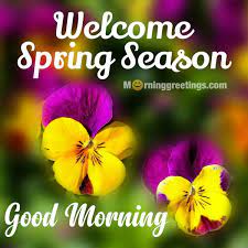 Spring may not be the best loved season, but it's definitely the most eagerly anticipated. 30 Good Morning Spring Wishes Morning Greetings Morning Quotes And Wishes Images