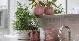 Aprenda a fazer decoração com planta no banheiro