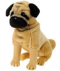 Pin On Pugs