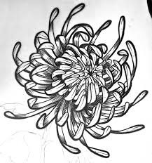 Check spelling or type a new query. Japanese Chrysanthemum Drawing