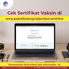 Bila hal ini terjadi, kamu tidak perlu panik karena dapat download sertifikat vaksin secara online melalui situs maupun aplikasi pedulilindungi. Cara Cek Sertifikat Vaksin Di Www Pedulilindungi Id Periksa Sertifikat Strategi Id