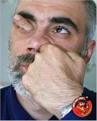 30 Very Funny Nose Pictures And Images