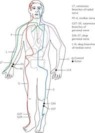 Acupuncture Meridian Chart Traditional Chinese Medicine