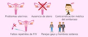Gestación subrogada tradicional o parcial: Babygest Todo Sobre La Adopcion Acogimiento Y La Gestacion Subrogada