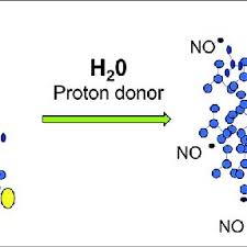 Image result for Berdazimer