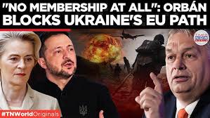 "EU Membership Would Mean...": Orbán Rejects NATO Entry For Ukraine