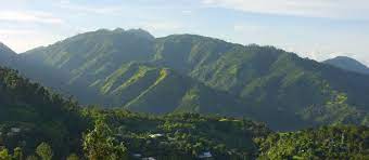 Internet services, amazing bar, car lot, dry sauna. Strawberry Hill Hotel Things To Do Near Our Blue Mountain Resort Kingston Jamaica