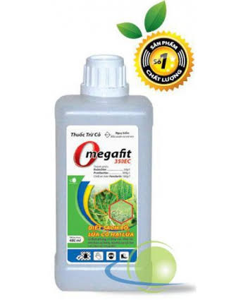 Mortif 333OD