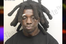 Allen Heyward — Chatham County Jail Bookings