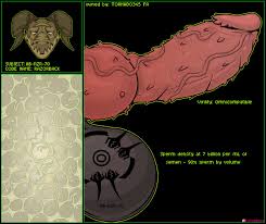 Analysis Porn - Rule 34