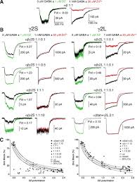 This is the case for most private employers. The Short Splice Variant Of The G2 Subunit Acts As An External Modulator Of Gabaa Receptor Function Journal Of Neuroscience