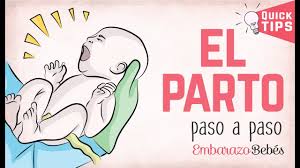 El dibujo, medio de expresión y de ¿por qué? Fases Del Parto Las 3 Etapas Youtube