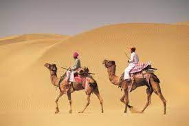Read more reasons to choose bikaner get the expertise of a. Rao Bikaji Camel Safari Picture Of Rao Bikaji Camel Safari Bikaner Tripadvisor